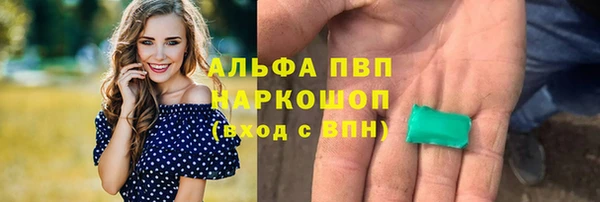 не бодяженный Новозыбков