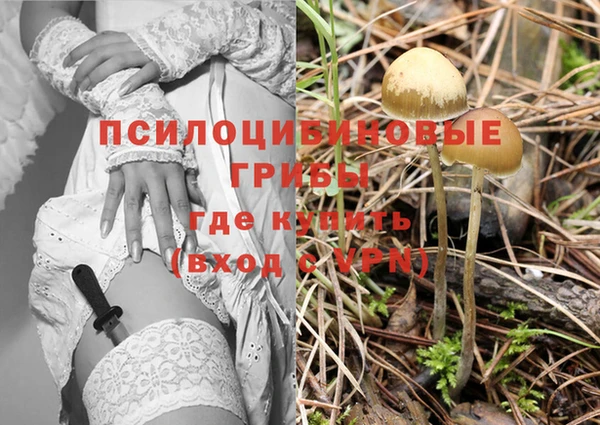 спиды Новокубанск