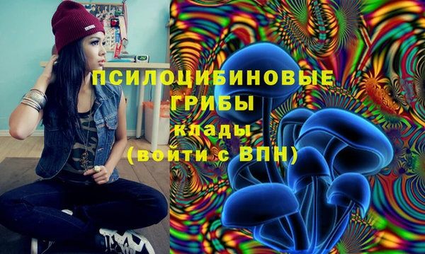 не бодяженный Новозыбков